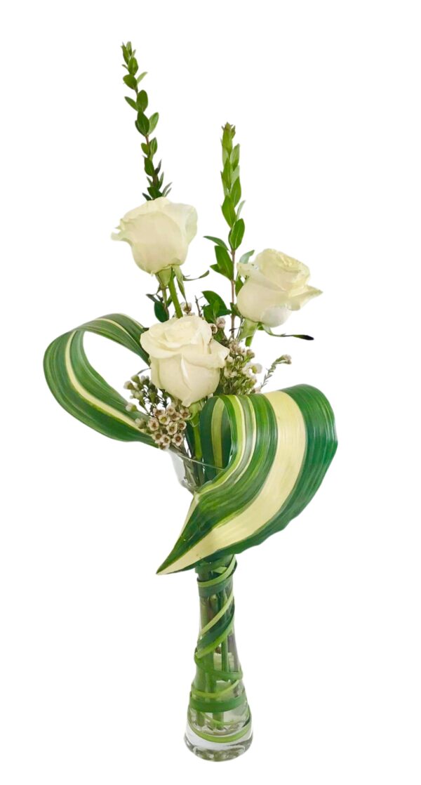 Three white roses rise above slender greenery stems in a tall, clear glass vase. A large, variegated leaf loops gracefully around the blooms, framing small white filler flowers nestled at the base.