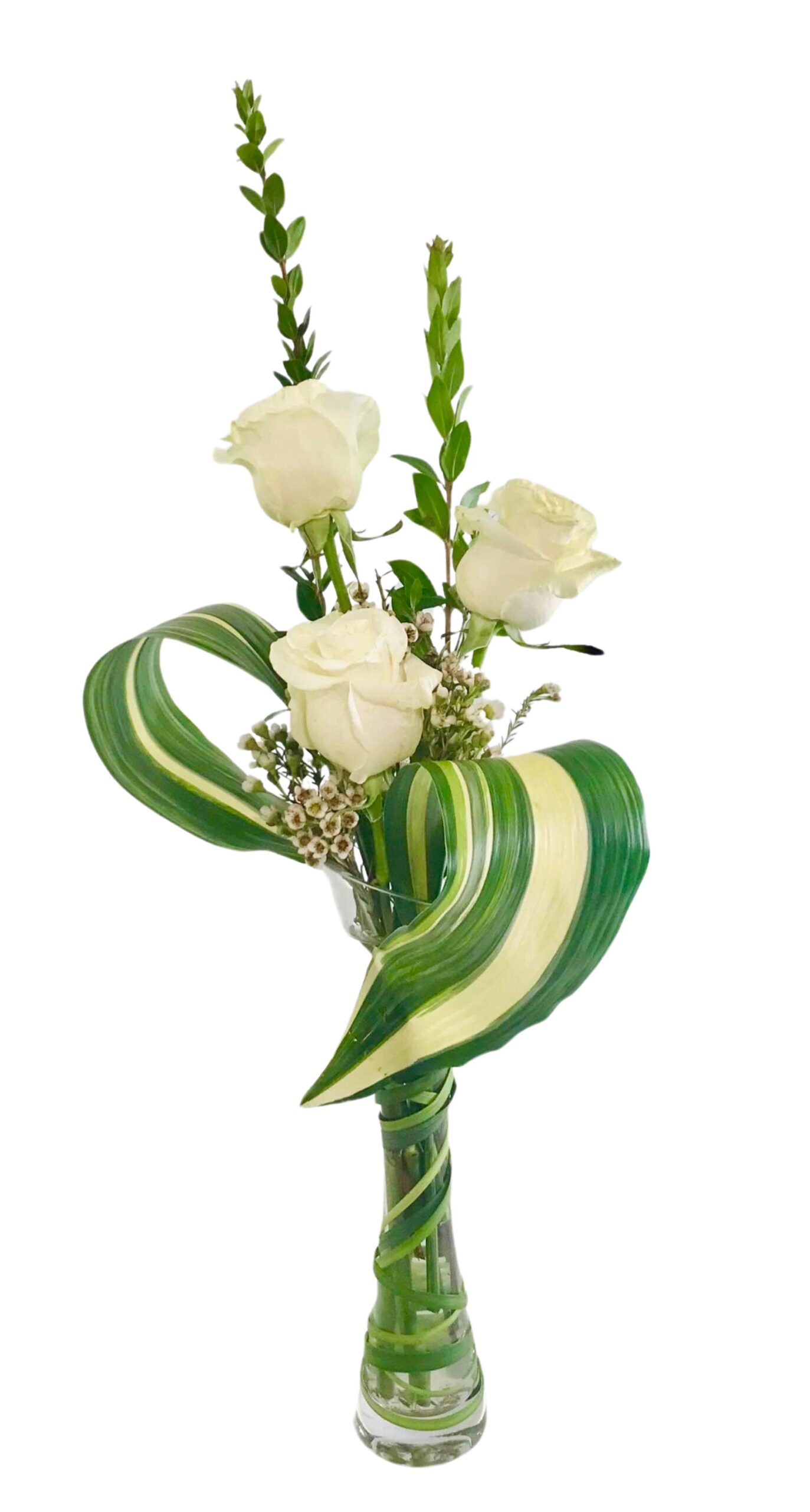 Three white roses rise above slender greenery stems in a tall, clear glass vase. A large, variegated leaf loops gracefully around the blooms, framing small white filler flowers nestled at the base.