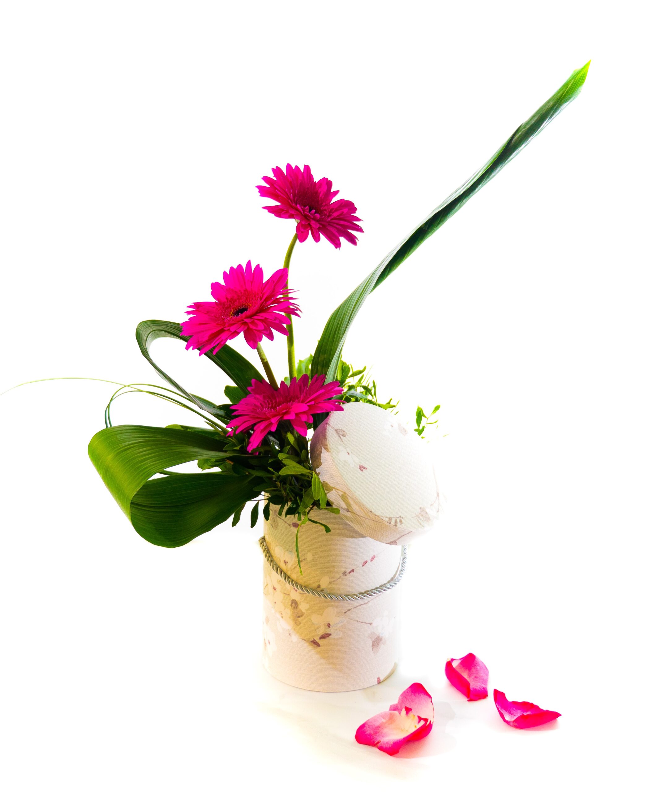 Oopsie Daisy Eight Petals Flower Shop