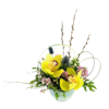 A pale mint-green ceramic bowl holds a low, textured arrangement featuring two large yellow cymbidium orchids with burgundy-speckled throats as focal points. Surrounding them are clusters of tiny pink waxflower blossoms, spiky blue thistle heads, and airy greenery. Long, slender pussy willow branches rise above the orchids, while looping wisps of bear grass curve gracefully to frame the blooms. A single thin branch extends out to the left, adding an asymmetrical, airy silhouette.