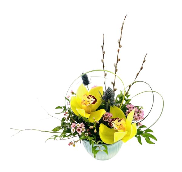 A pale mint-green ceramic bowl holds a low, textured arrangement featuring two large yellow cymbidium orchids with burgundy-speckled throats as focal points. Surrounding them are clusters of tiny pink waxflower blossoms, spiky blue thistle heads, and airy greenery. Long, slender pussy willow branches rise above the orchids, while looping wisps of bear grass curve gracefully to frame the blooms. A single thin branch extends out to the left, adding an asymmetrical, airy silhouette.
