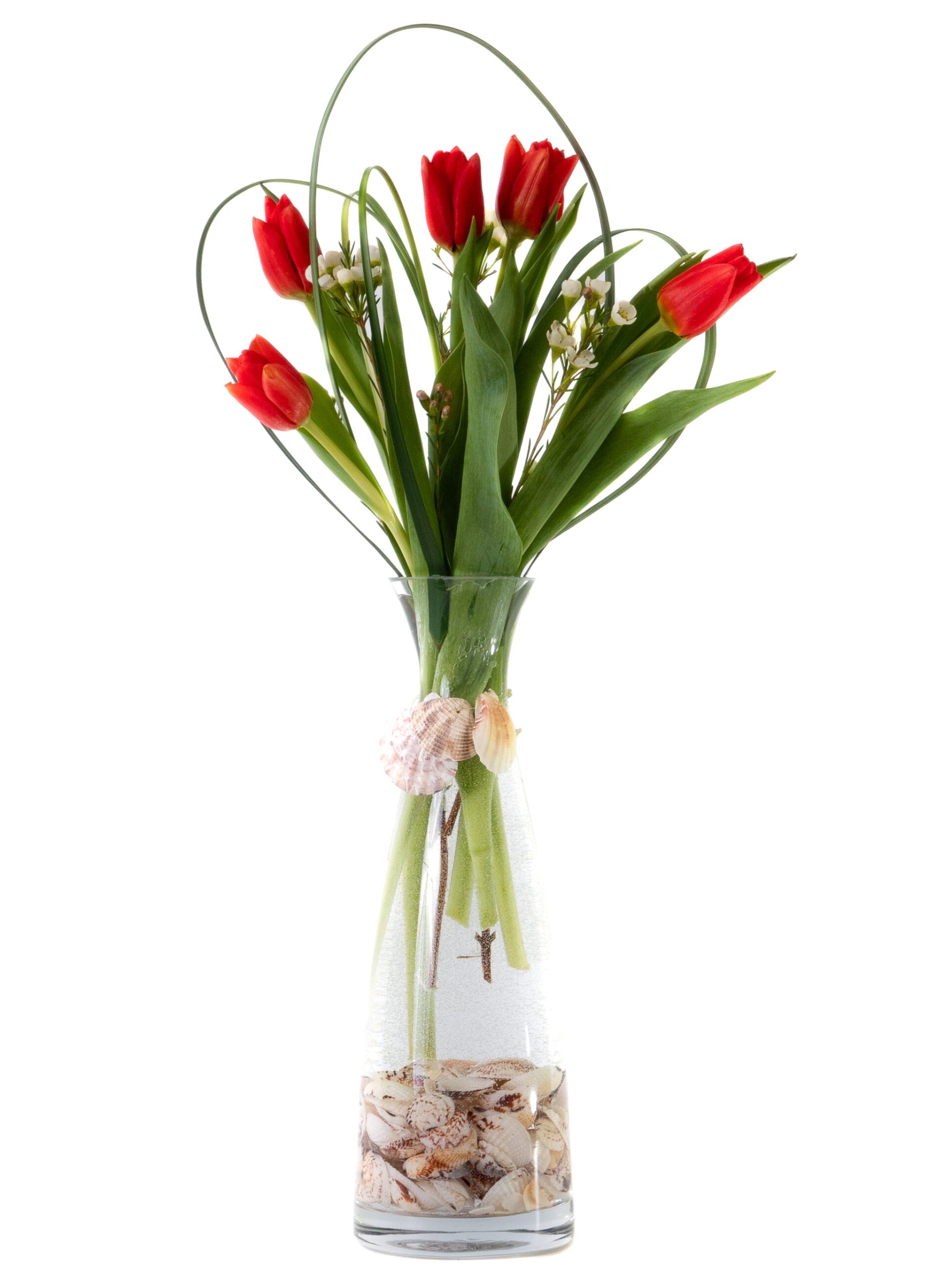 Spring Love