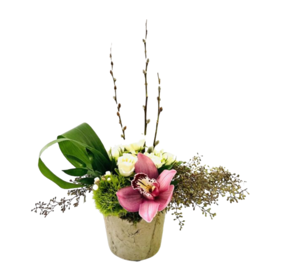 A small, rustic stone-textured pot holds a low, horizontally oriented arrangement. Central are three tall pussy willow branches with fuzzy catkins rising above a cluster of creamy white mini roses. To the right, feathery dried seeded branches extend outward, creating a wispy backdrop. At front left, a single pink orchid with a spotted burgundy-and-cream throat rests atop a bright green moss ball. Curved loops of glossy green ti leaf frame the left side, and tiny white waxflower buds and asparagus fern fill the spaces between, forming an elegant, asymmetrical design.