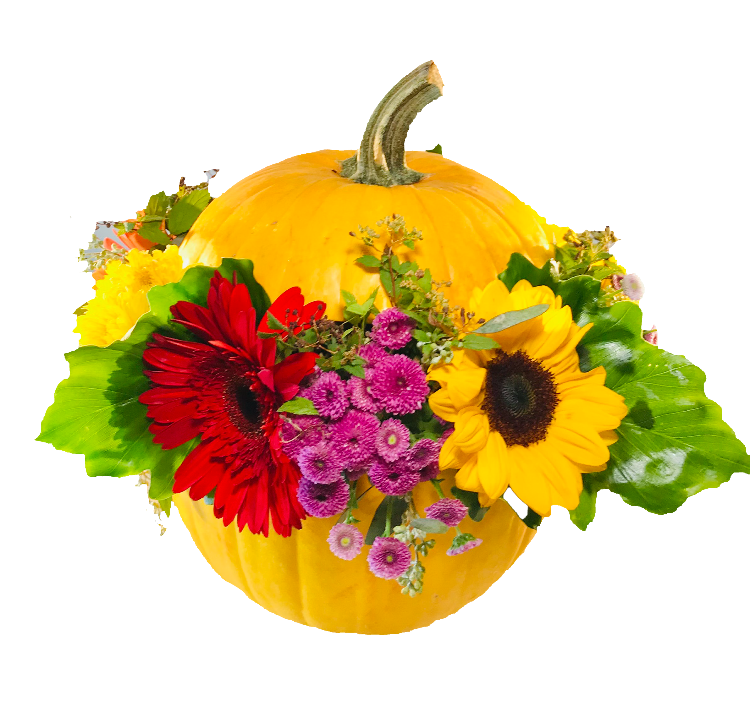 Pumpkin Spice & Blooms