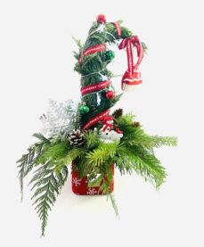 Holly Night with Light