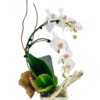 A tall, distressed white wooden vase holds a single Phalaenopsis orchid. Two arching stems bear clusters of white blooms with pale pink centers. Broad green orchid leaves sit atop a bed of moss and bark. Two slender, curly twigs extend upward behind the flowers, adding height and contrast.