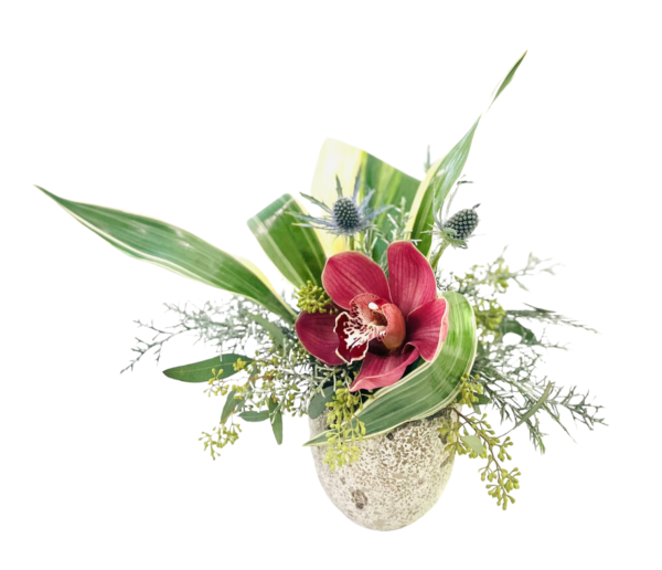 A mottled stone-textured round vase holds an asymmetrical arrangement centered on a single deep burgundy orchid with a spotted cream-and-burgundy throat. It is surrounded by spiky blue thistle blooms, sprays of silvery cedar, and small clusters of green buds layered among eucalyptus stems. Broad, variegated palm leaves curve dramatically to the left and right, framing the orchid and adding a sweeping, sculptural element to the composition.