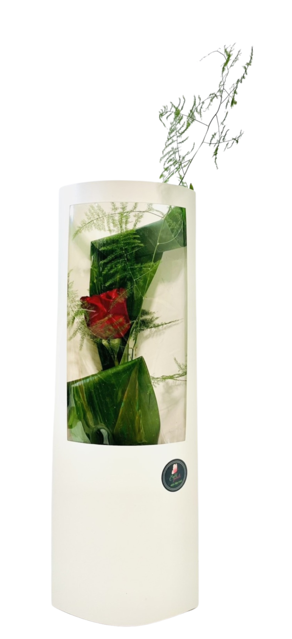 A single red rose bud wrapped in glossy green leaves and wispy fern stems, displayed upright inside a tall white gift box with a clear plastic window.