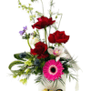 A tall white gift box with a hinged lid holds a theatrical floral arrangement and a pull‐out drawer of chocolates. At the base, the drawer is open to reveal three gold‐wrapped Ferrero Rocher chocolates nestled in white crinkle paper. Above, three long‐stemmed red roses rise vertically amid feathery asparagus fern and wispy white larkspur. Clustered below are a bright pink gerbera daisy, a white and pink orchid, and spiky blue thistle surrounded by glossy green leaves, curly palm fronds, and small green hellebore blooms, creating a layered, elegant presentation.