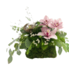 A low rectangular container wrapped in moss holds a naturalistic arrangement of greenery and blooms. Three pink orchids with burgundy-speckled throats rest atop feathery asparagus fern and small white waxflowers. A curving moss-covered branch supports a tiny bird’s nest containing two speckled eggs. Cascading eucalyptus leaves trail over the moss base, creating an organic, woodland-inspired floral design.