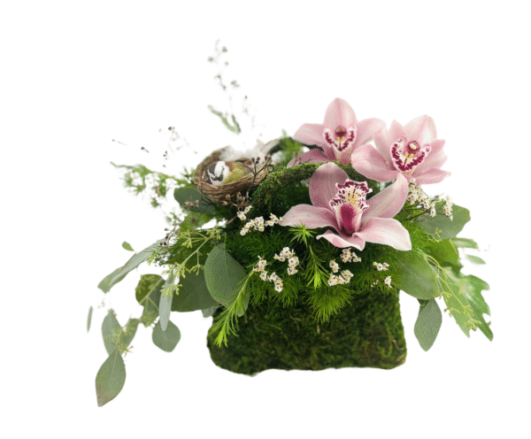 A low rectangular container wrapped in moss holds a naturalistic arrangement of greenery and blooms. Three pink orchids with burgundy-speckled throats rest atop feathery asparagus fern and small white waxflowers. A curving moss-covered branch supports a tiny bird’s nest containing two speckled eggs. Cascading eucalyptus leaves trail over the moss base, creating an organic, woodland-inspired floral design.