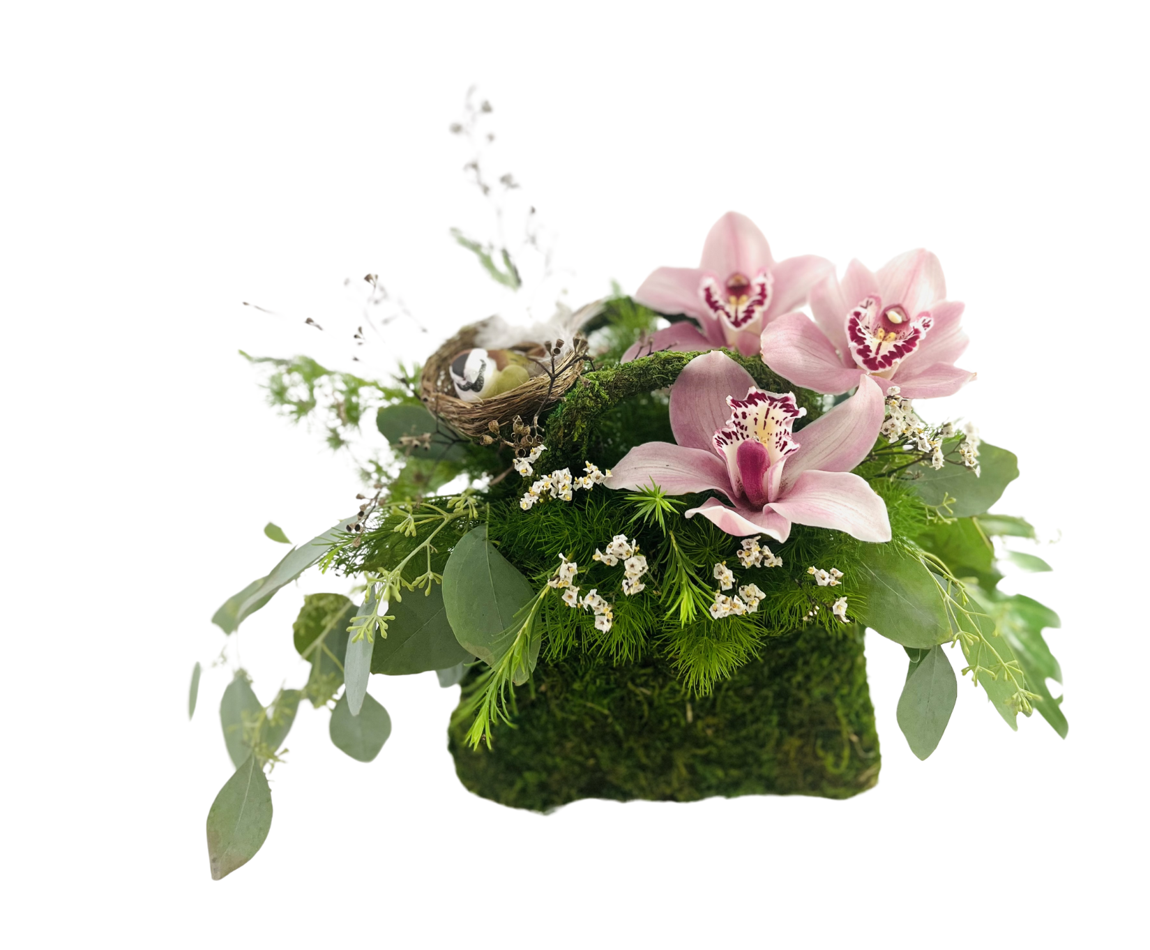 A low rectangular container wrapped in moss holds a naturalistic arrangement of greenery and blooms. Three pink orchids with burgundy-speckled throats rest atop feathery asparagus fern and small white waxflowers. A curving moss-covered branch supports a tiny bird’s nest containing two speckled eggs. Cascading eucalyptus leaves trail over the moss base, creating an organic, woodland-inspired floral design.