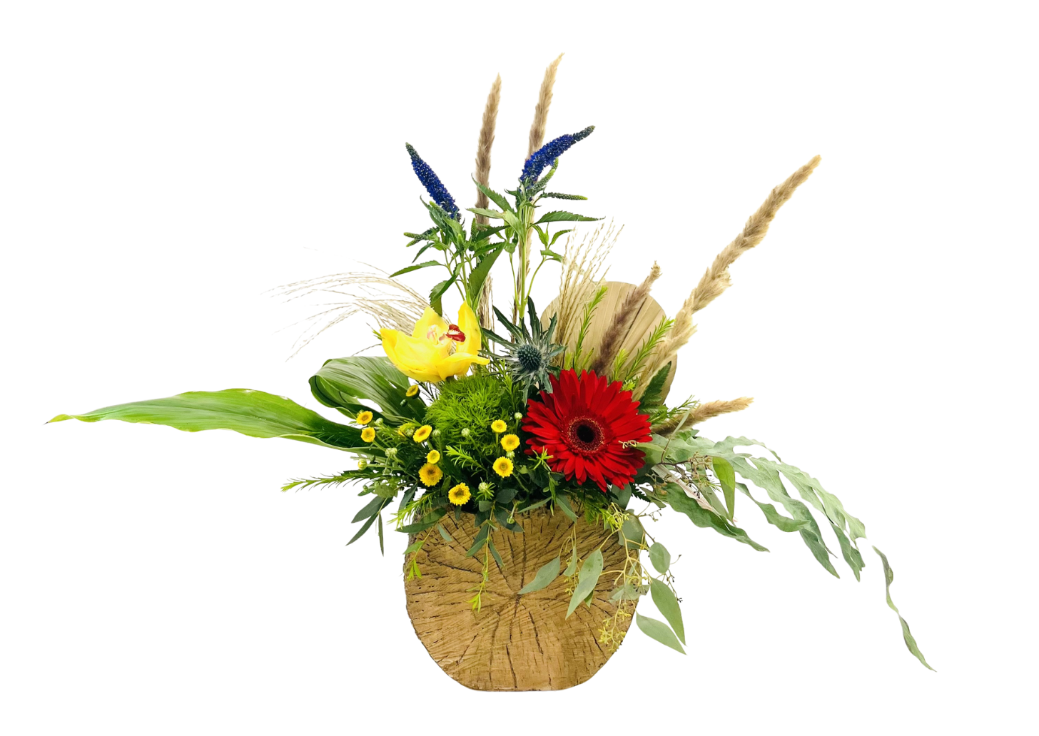 Timber & Bloom