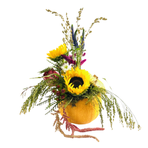 Tipsy Harvest