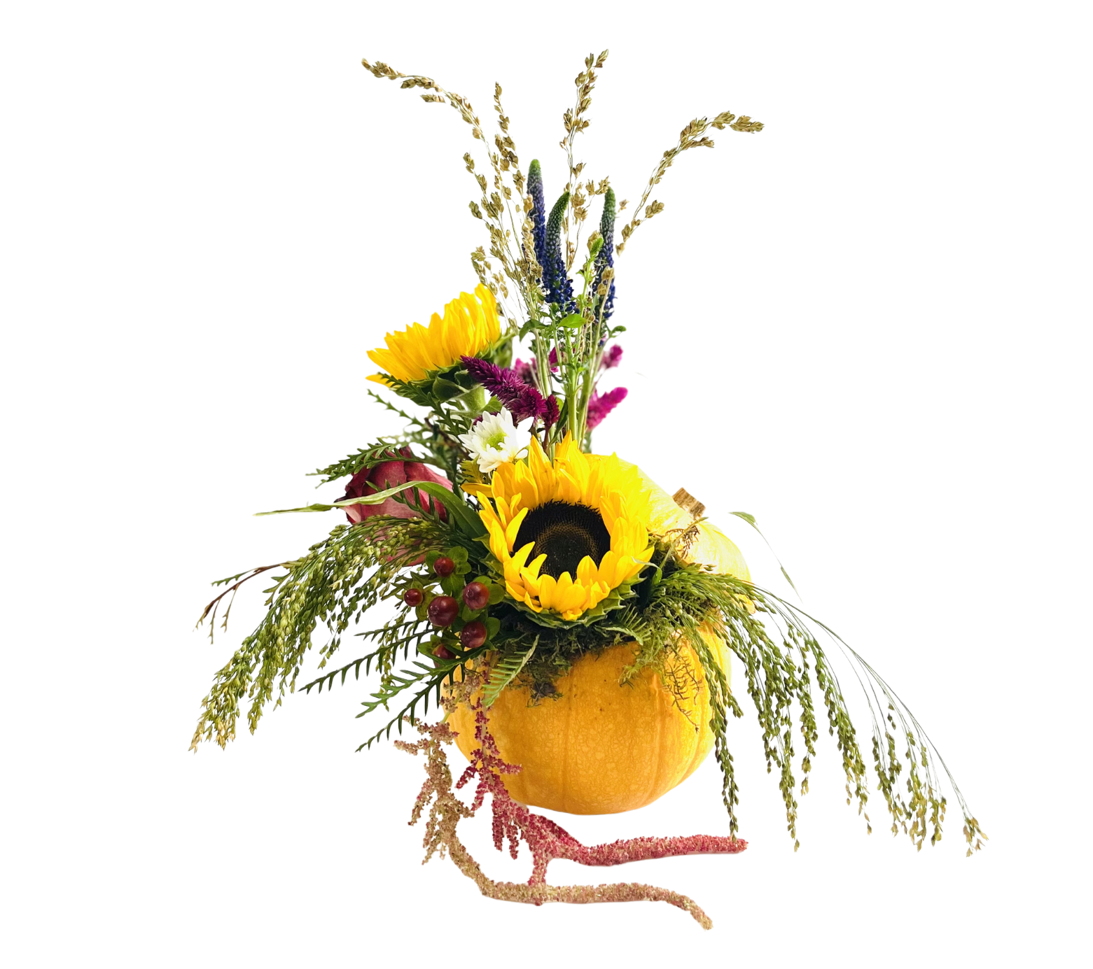 Tipsy Harvest